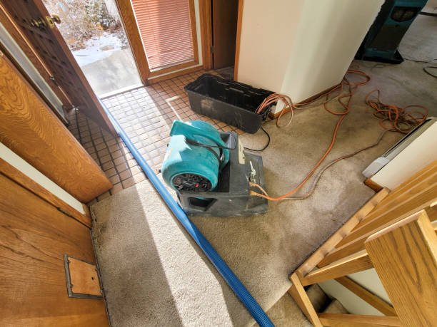 Best Flood damage cleanup  in North Fork, CA