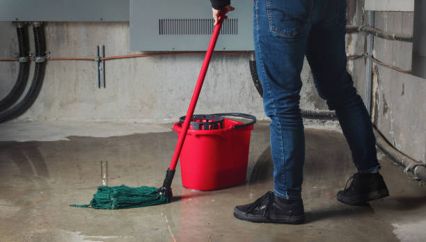 Best Water damage mitigation services  in North Fork, CA