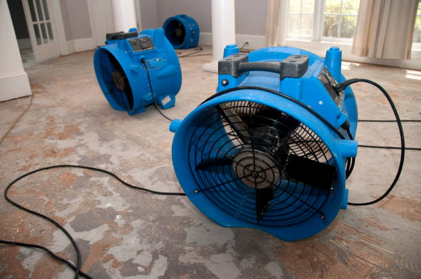 Best Ceiling water damage repair  in North Fork, CA