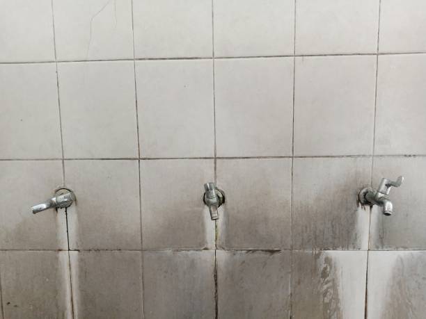 Best Mold removal after water damage  in North Fork, CA