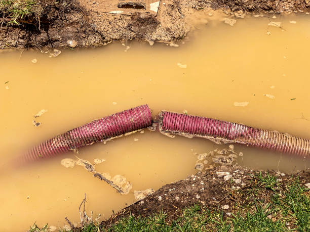  North Fork, CA Water damage restoration Pros