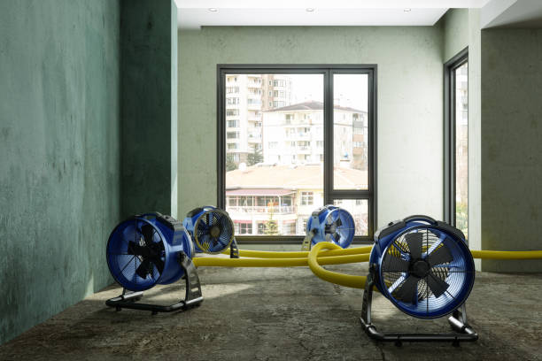 Best Ceiling water damage repair  in North Fork, CA
