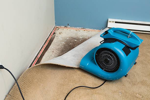 Best 24/7 water damage repair  in North Fork, CA